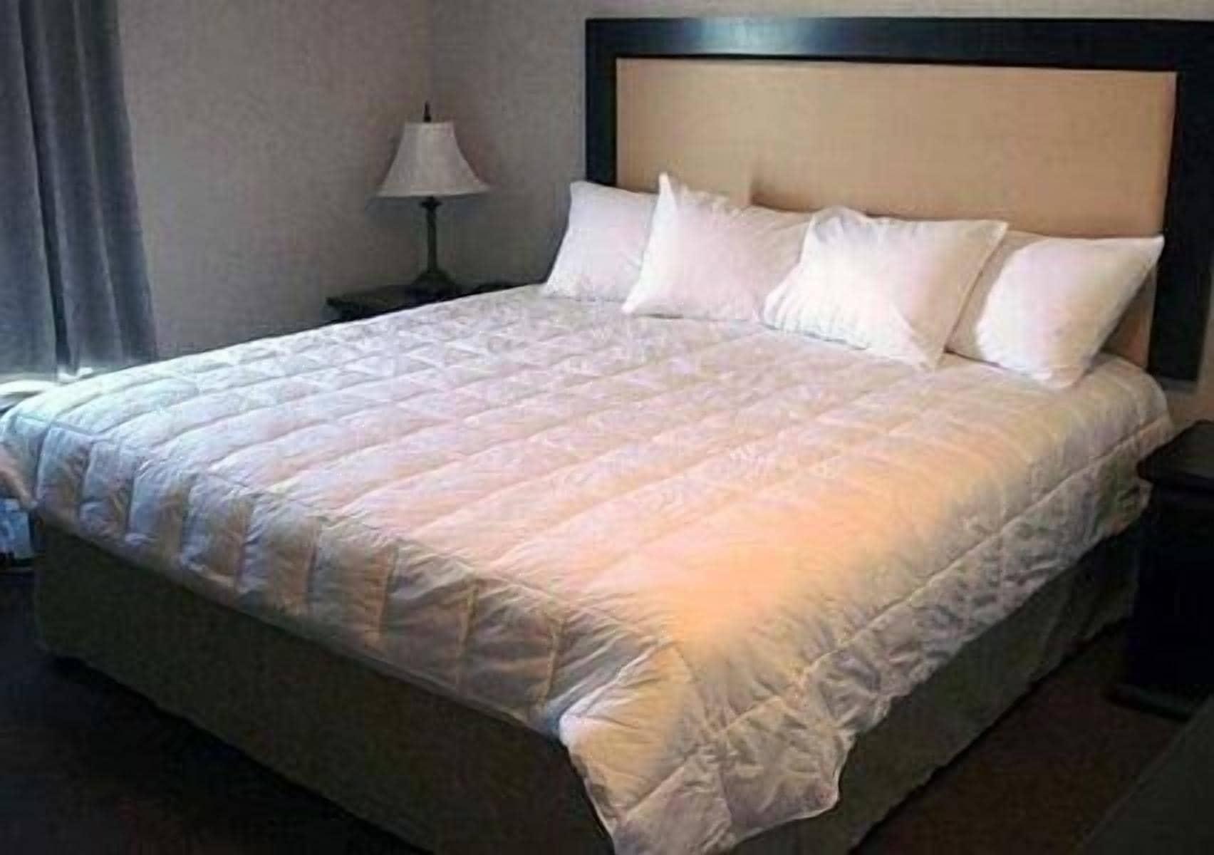 Quality Inn & Suites Lethbridge Zewnętrze zdjęcie